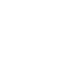 ScaleTwin-schema-04